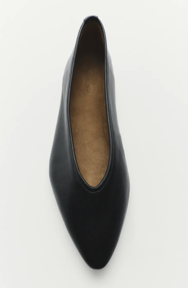 Pointed Ballerina Flats