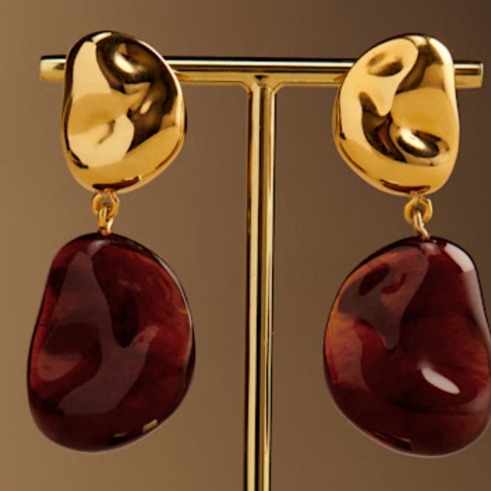 Brown And Gold Earrings